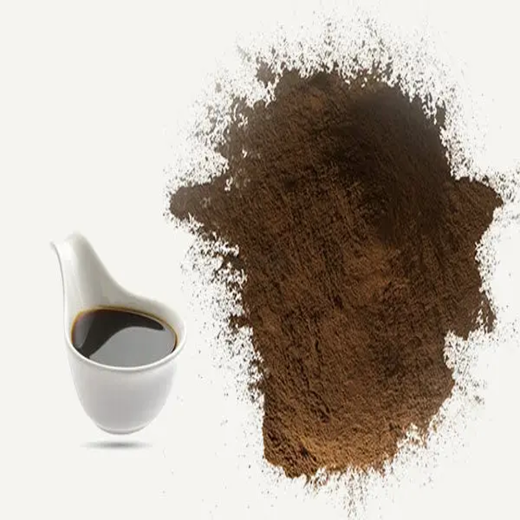 Soya Sauce Powder