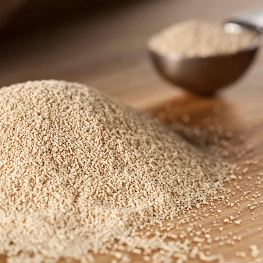 Yeast Extract