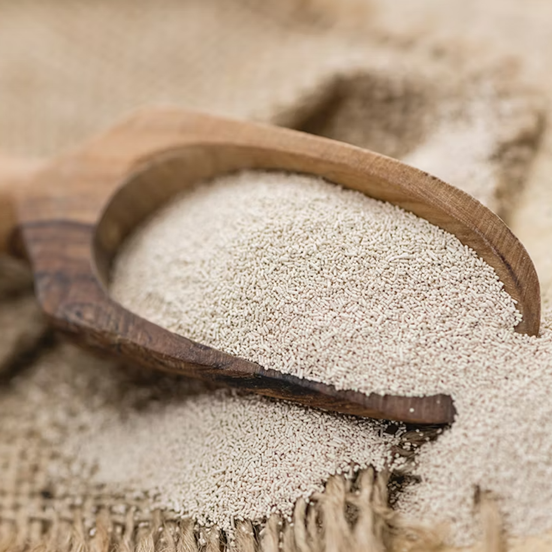 Yeast Extract Powder
